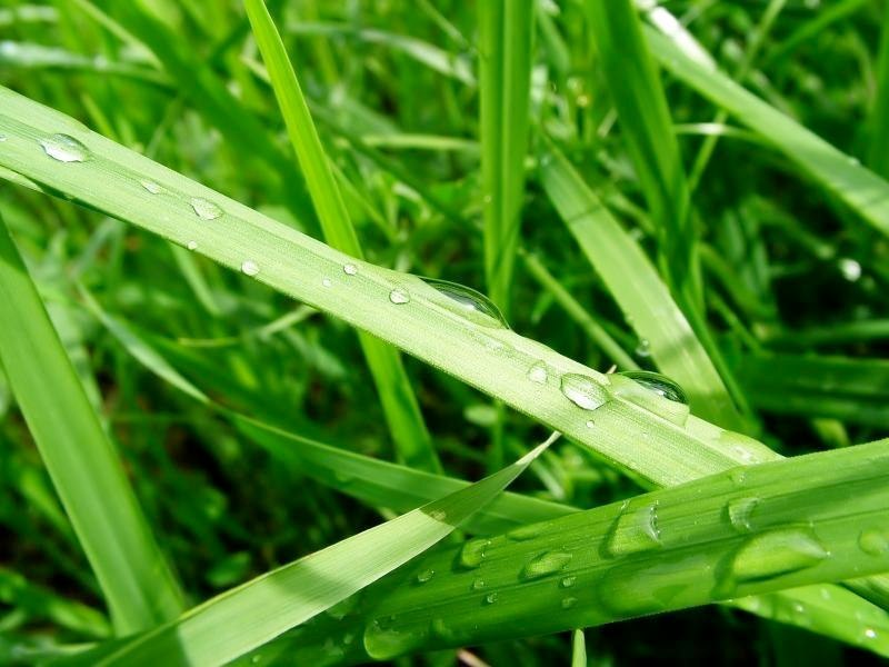 Hakken to Boken 2006（H18）5 year olds