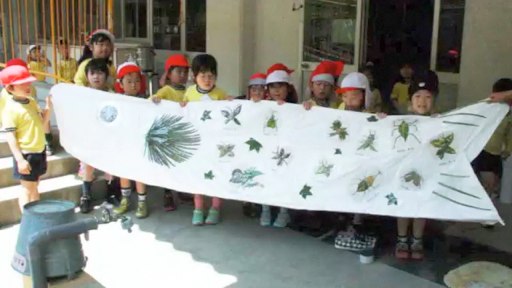 collection　風と遊ぶ　動画