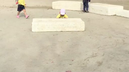 collection　戸外ブロックをはこぶ　動画